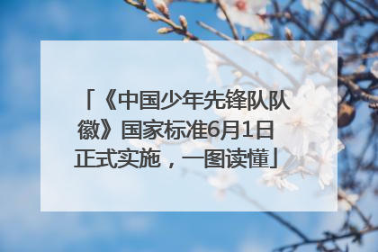 《中国少年先锋队队徽》国家标准6月1日正式实施，一图读懂