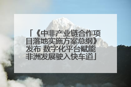 《中非产业链合作项目落地实施方案总纲》发布 数字化平台赋能非洲发展驶入快车道