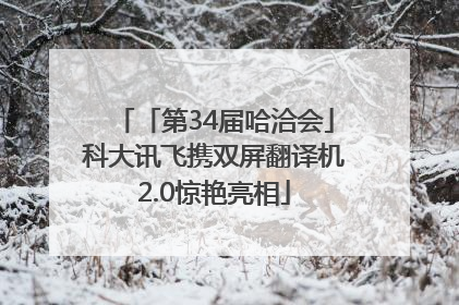 「第34届哈洽会」科大讯飞携双屏翻译机2.0惊艳亮相