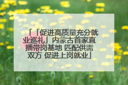 「促进高质量充分就业巡礼」内蒙古首家直播带岗基地 匹配供需双方 促进上岗就业