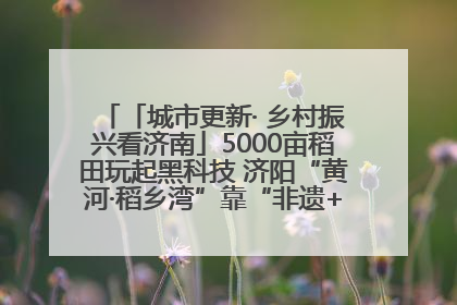 「城市更新· 乡村振兴看济南」5000亩稻田玩起黑科技 济阳“黄河·稻乡湾”靠“非遗+露营”火出圈
