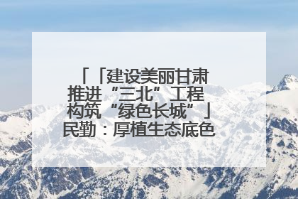 「建设美丽甘肃 推进“三北”工程 构筑“绿色长城”」民勤：厚植生态底色 筑牢绿色屏障