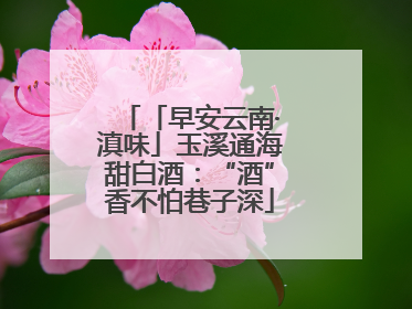 「早安云南·滇味」玉溪通海甜白酒：“酒”香不怕巷子深