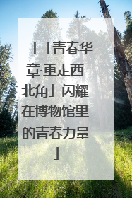 「青春华章·重走西北角」闪耀在博物馆里的青春力量