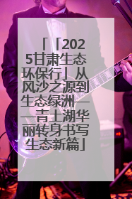 「2025甘肃生态环保行」从风沙之源到生态绿洲——青土湖华丽转身书写生态新篇