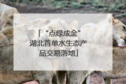 “点绿成金” 湖北首单水生态产品交易落地