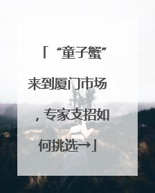 “童子蟹”来到厦门市场，专家支招如何挑选→