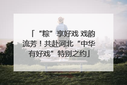 “粽”享好戏 戏韵流芳！共赴河北“中华有好戏”特别之约