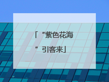“紫色花海”引客来
