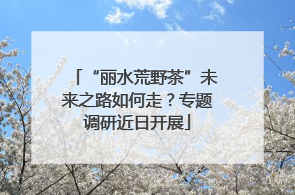 “丽水荒野茶”未来之路如何走？专题调研近日开展