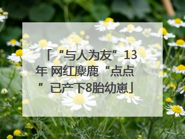 “与人为友”13年 网红麋鹿“点点”已产下8胎幼崽