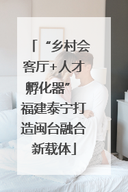 “乡村会客厅+人才孵化器” 福建泰宁打造闽台融合新载体
