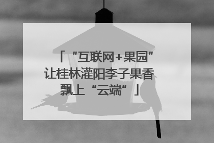 “互联网+果园”让桂林灌阳李子果香飘上“云端”