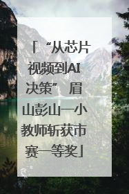 “从芯片视频到AI决策” 眉山彭山一小教师斩获市赛一等奖