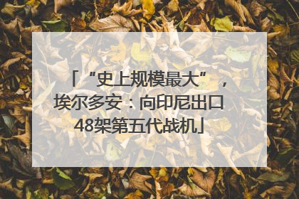 “史上规模最大”，埃尔多安：向印尼出口48架第五代战机