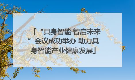 “具身智能·智启未来”会议成功举办 助力具身智能产业健康发展