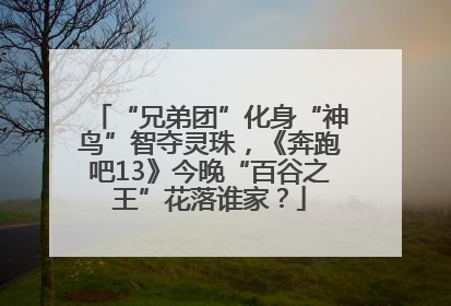 “兄弟团”化身“神鸟”智夺灵珠，《奔跑吧13》今晚“百谷之王”花落谁家？