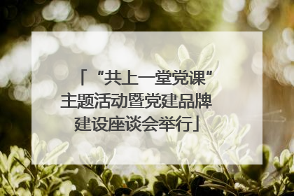 “共上一堂党课”主题活动暨党建品牌建设座谈会举行