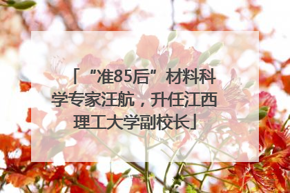 “准85后”材料科学专家汪航，升任江西理工大学副校长