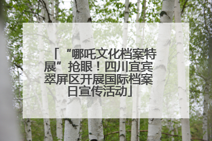 “哪吒文化档案特展”抢眼！四川宜宾翠屏区开展国际档案日宣传活动