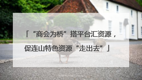 “商会为桥”搭平台汇资源，促连山特色资源“走出去”