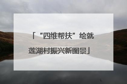 “四维帮扶”绘就莲湖村振兴新图景