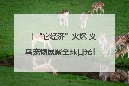 “它经济”火爆 义乌宠物展聚全球目光