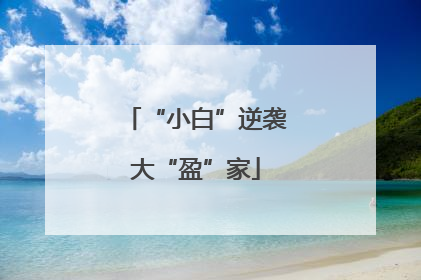 “小白”逆袭大“盈”家