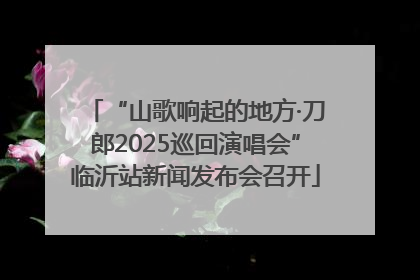 “山歌响起的地方·刀郎2025巡回演唱会”临沂站新闻发布会召开
