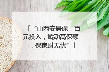 “山西安居保，百元投入，撬动高保额，保家财无忧”
