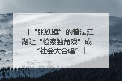 “张铁锤”的普法江湖让“检察独角戏”成“社会大合唱”