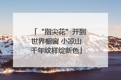 “指尖花”开到世界橱窗 小凉山千年纹样绽新色