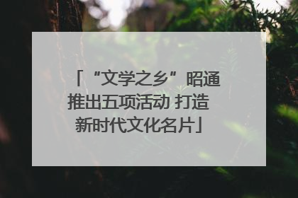 “文学之乡”昭通推出五项活动 打造新时代文化名片