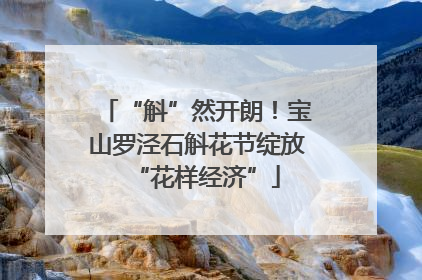 “斛”然开朗！宝山罗泾石斛花节绽放“花样经济”
