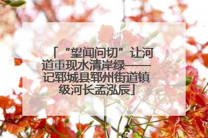“望闻问切”让河道重现水清岸绿——记郓城县郓州街道镇级河长孟泓辰