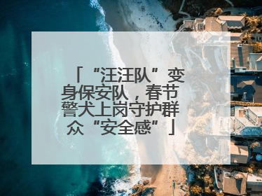 “汪汪队”变身保安队，春节警犬上岗守护群众“安全感”