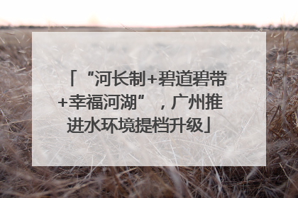 “河长制+碧道碧带+幸福河湖”，广州推进水环境提档升级
