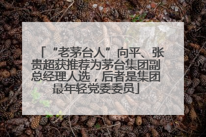 “老茅台人”向平、张贵超获推荐为茅台集团副总经理人选，后者是集团最年轻党委委员