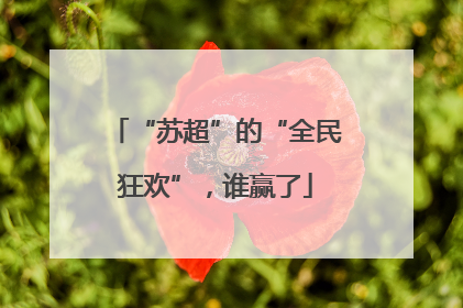 “苏超”的“全民狂欢”，谁赢了