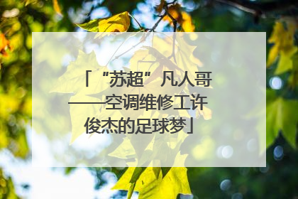 “苏超”凡人哥——空调维修工许俊杰的足球梦
