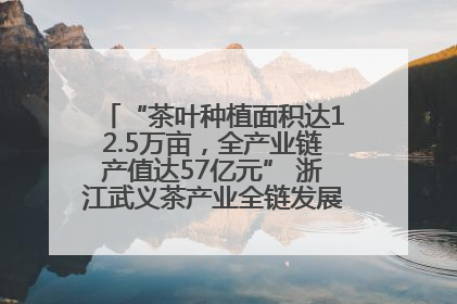 “茶叶种植面积达12.5万亩，全产业链产值达57亿元” 浙江武义茶产业全链发展“加速度”