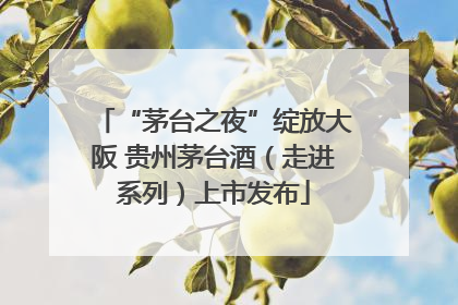 “茅台之夜”绽放大阪 贵州茅台酒（走进系列）上市发布