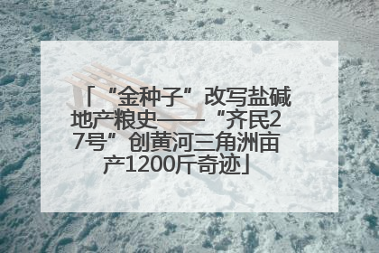 “金种子”改写盐碱地产粮史——“齐民27号”创黄河三角洲亩产1200斤奇迹
