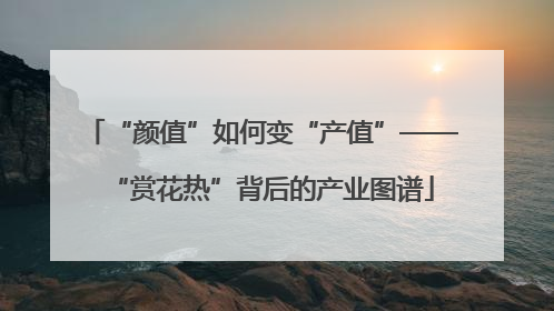 “颜值”如何变“产值”——“赏花热”背后的产业图谱