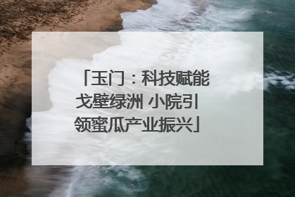 玉门：科技赋能戈壁绿洲 小院引领蜜瓜产业振兴