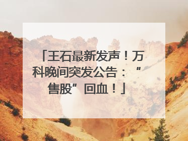 王石最新发声！万科晚间突发公告：“售股”回血！