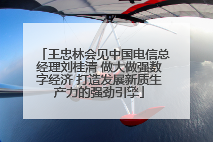 王忠林会见中国电信总经理刘桂清 做大做强数字经济 打造发展新质生产力的强劲引擎