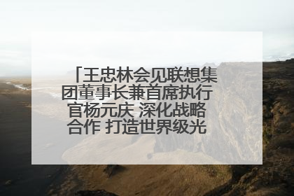王忠林会见联想集团董事长兼首席执行官杨元庆 深化战略合作 打造世界级光电子信息产业集群