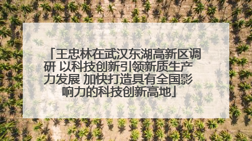 王忠林在武汉东湖高新区调研 以科技创新引领新质生产力发展 加快打造具有全国影响力的科技创新高地