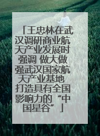 王忠林在武汉调研商业航天产业发展时强调 做大做强武汉国家航天产业基地 打造具有全国影响力的“中国星谷”